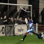 WHITES UP TO FIFTH