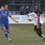 WINGS STIFLE TAME WHITES