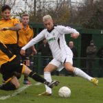 BELLAMY: WE'RE GOING TO MK TO CAUSE AN UPSET