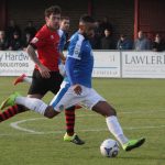 STEF SENDS WHITEHAWK DOWN