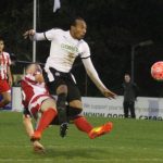 SPITFIRES DOWN WHITES